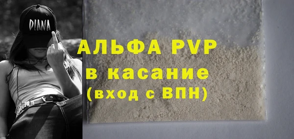 прущие грибы Кукмор