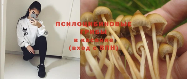 прущая мука Куйбышев