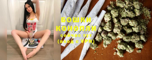 прущие грибы Кукмор