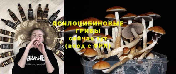 прущие грибы Кукмор
